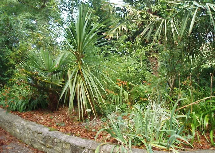 Les Poteries בית נופש *